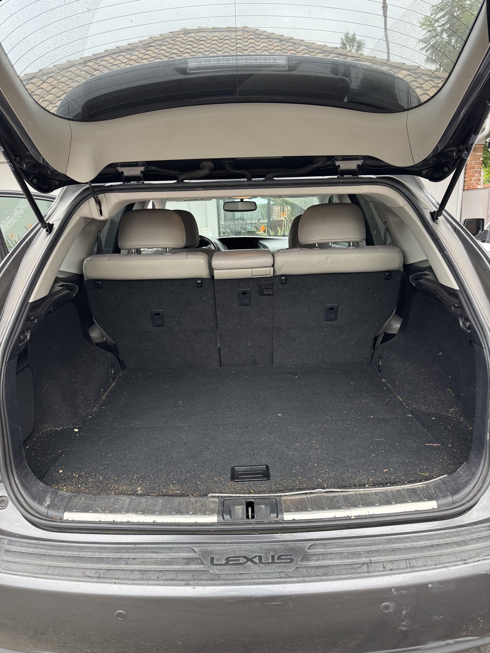 interior 1 (2)